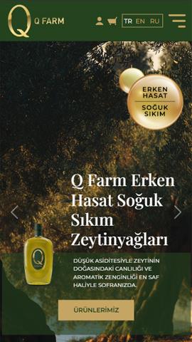 Q Farm Erken Hasat Soğuk Sıkım Zeytinyağları